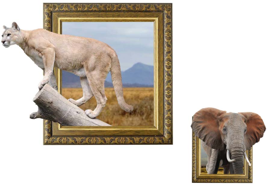 pumain and elephant in frames