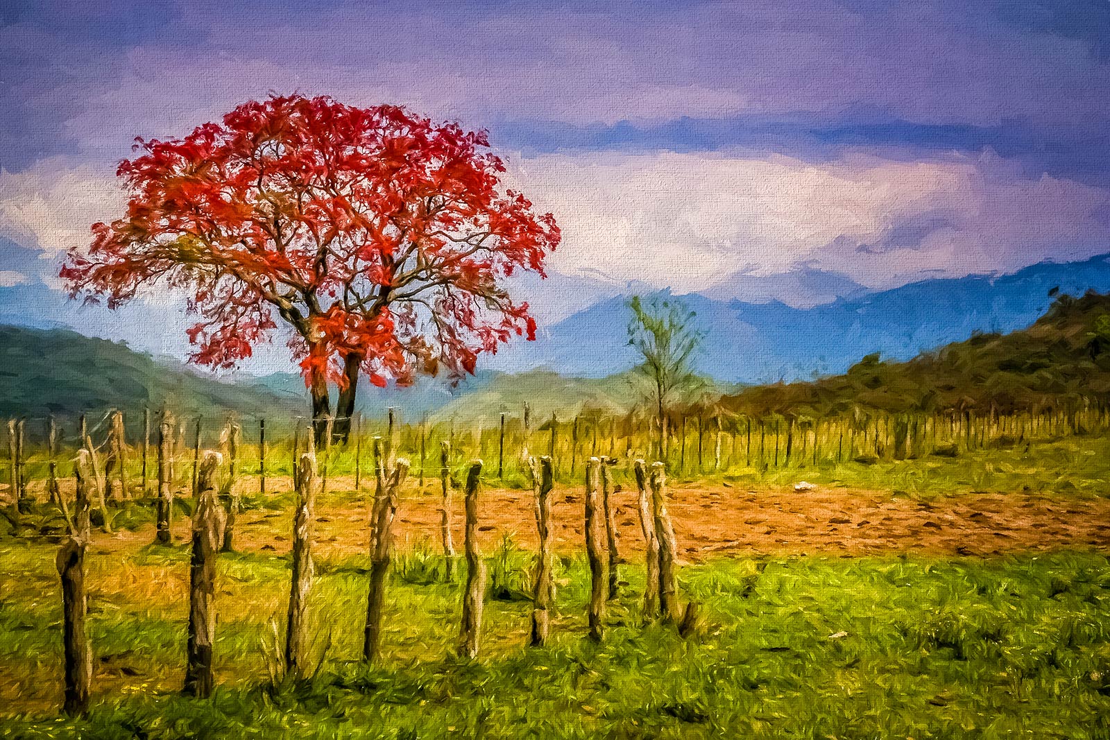 red tree and autumn landscape impression