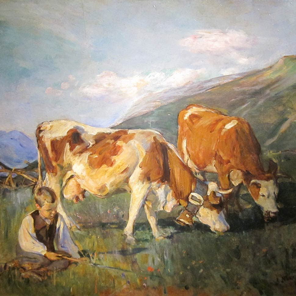 the high meadow